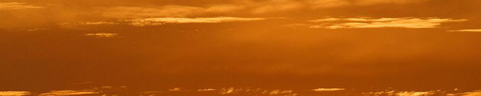 Design für Alle in Digitalen Bibliotheken