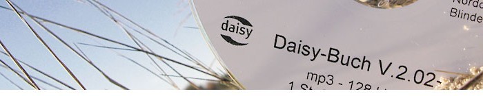 Design für Alle in Digitalen Bibliotheken